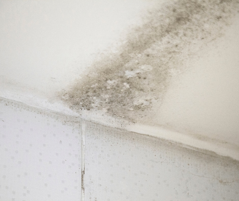 Superior Home Inspections MOLD inspection